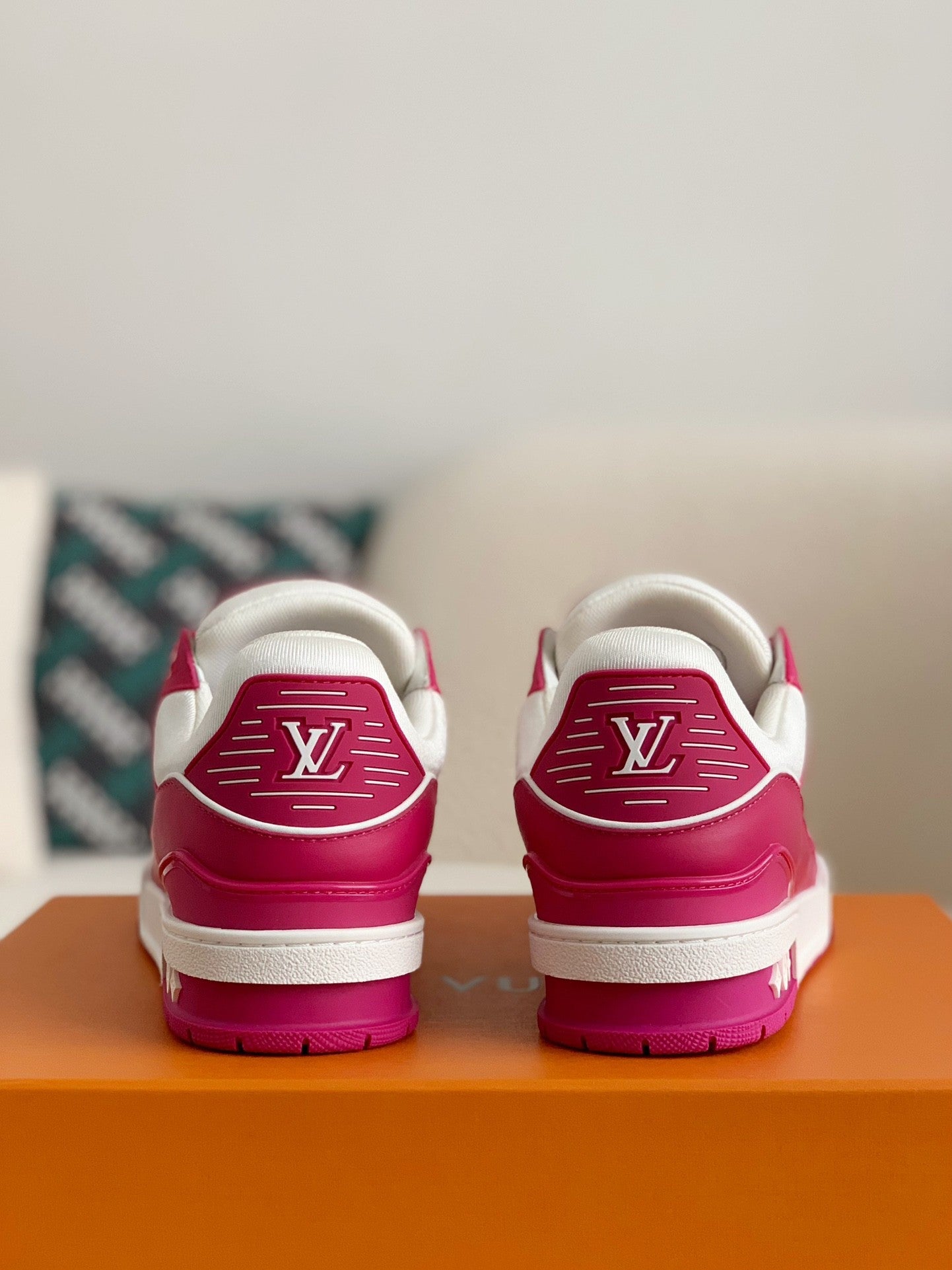 LOUIS VUITTON TRAINER Sneakers